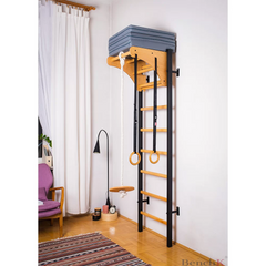 BenchK Swedish Ladder For Kids With Gymnastic Accessories